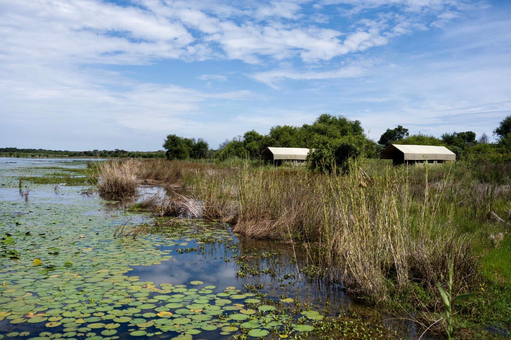 Little Mongena Tented Camp Klipdrift Extérieur photo